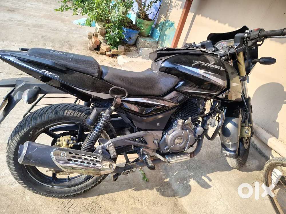 Pulsar 180 Pure Black
