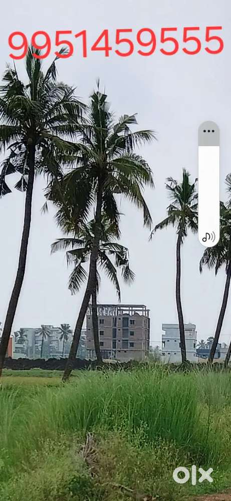 Lands and plots for sale