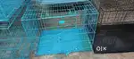 Brand new condition dog cages available