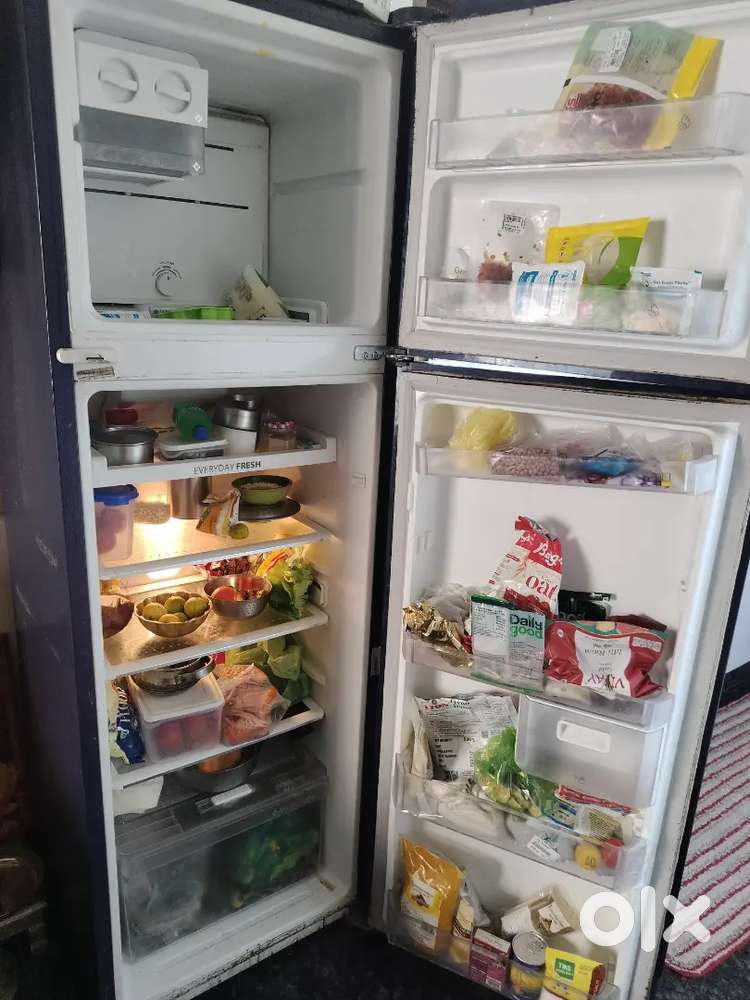 2 Door Fridge