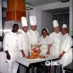 Cooks, Chefs, Kitchen Housekeeping Boy, Waiter,