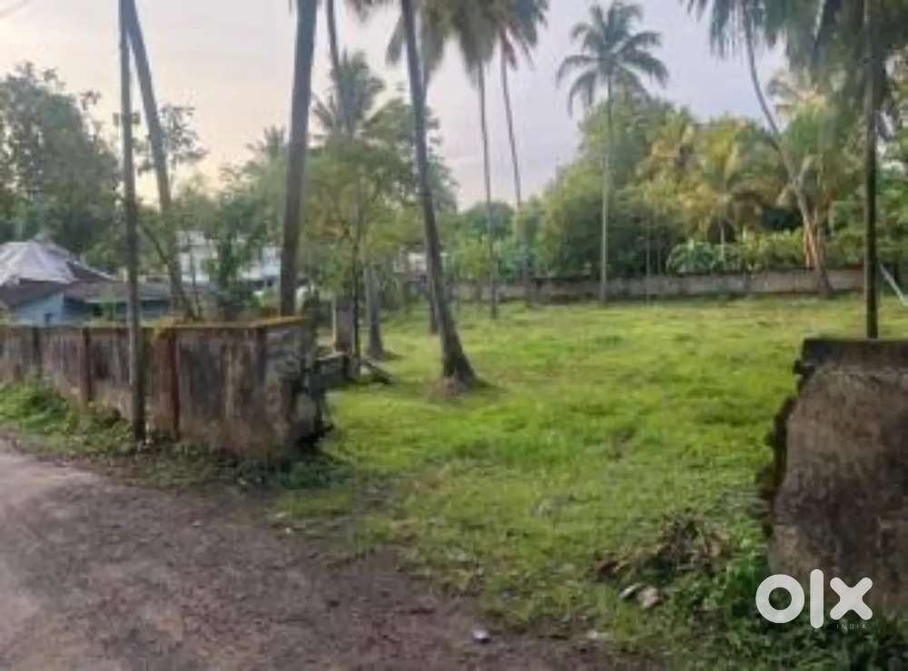 House plot for sale in mokkannur, Ankamaly