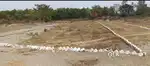 Chitra road  CISF colony Newtown Offer price 2.55Lakh per katha