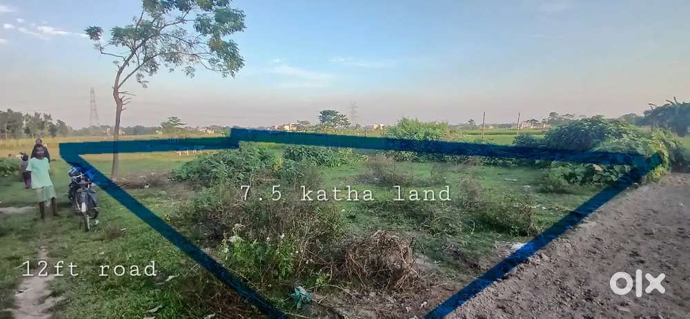 Land for sale