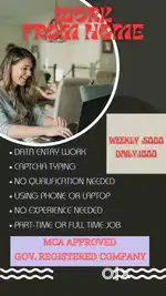 DATA ENTRY WORK