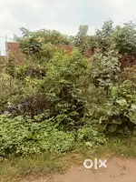 PLOT FOR SELL BEHIND MOHNI GARDEN