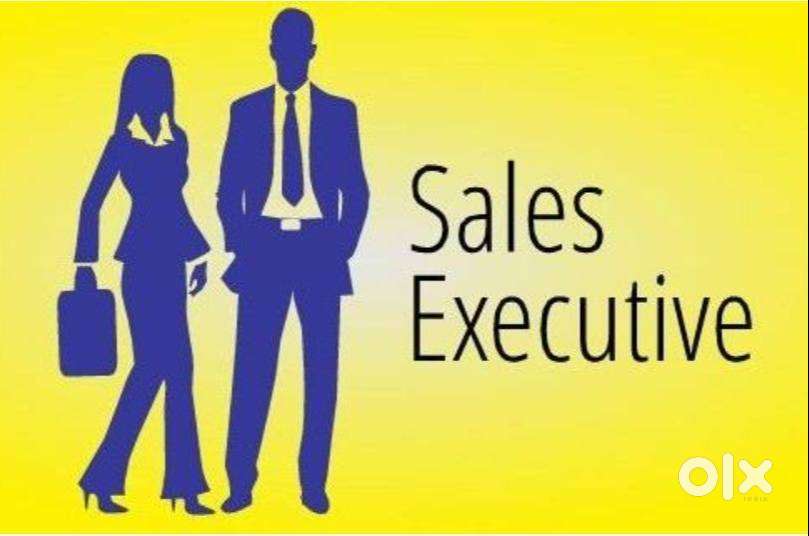 Sales excecutive