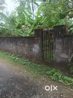 Located Only 50meters from Main road