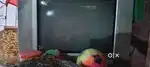 Videocon tv