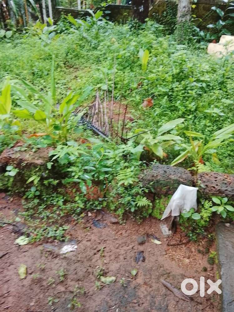 10 CENT COMMERCIAL LAND FOR SALE CHELAVOOR CALICUT