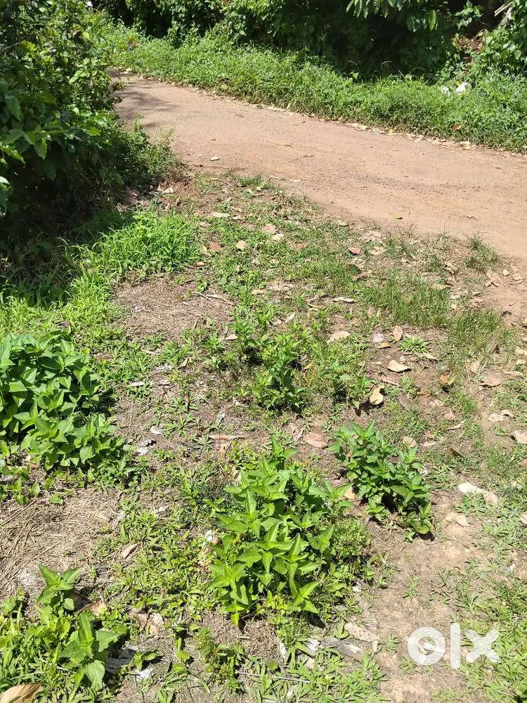 House plot with tar road access