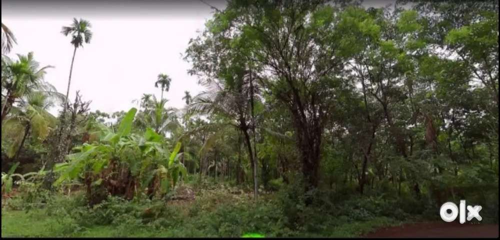 FOR SALE: PRIME 2.2 ACRE LAND - MULTI-PURPOSE POTENTIAL!