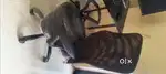 Hydrolic chair