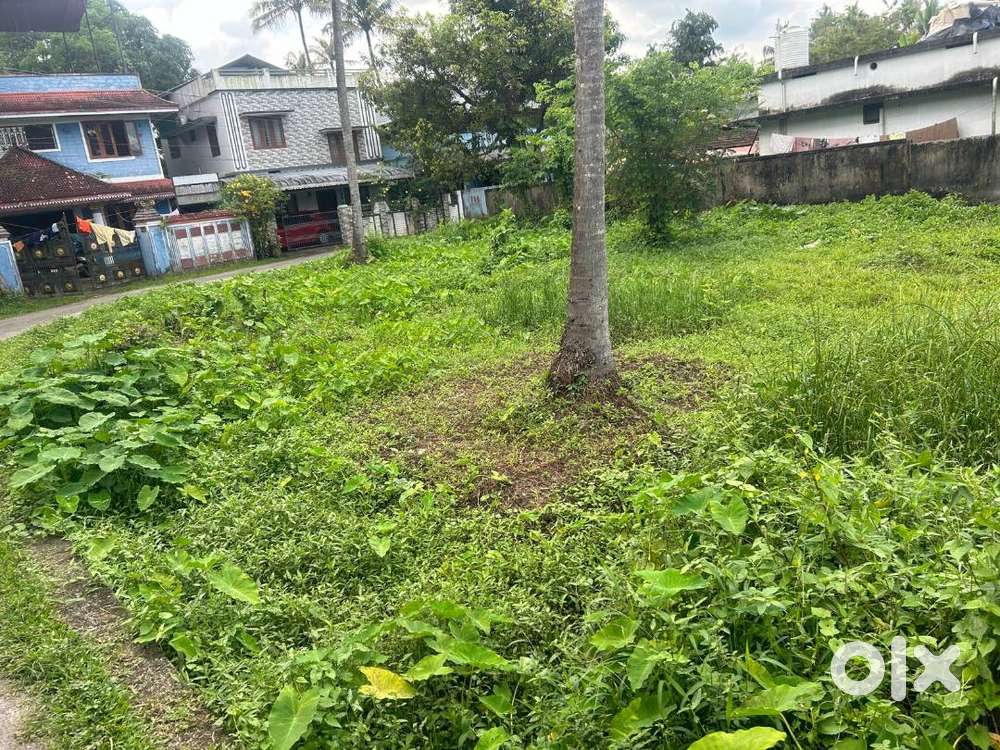 Plot for sale Near Chalakudy cmi school,Ksrtc stand and Railway stn