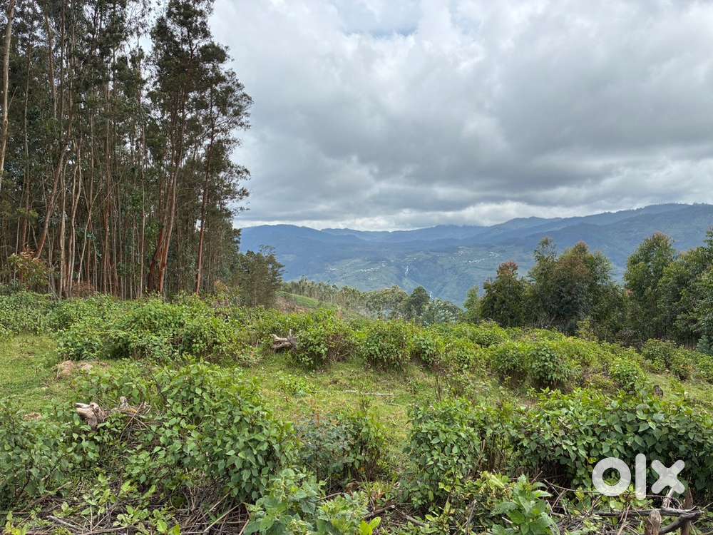Fenced farm land on tar road @ Mannavanur