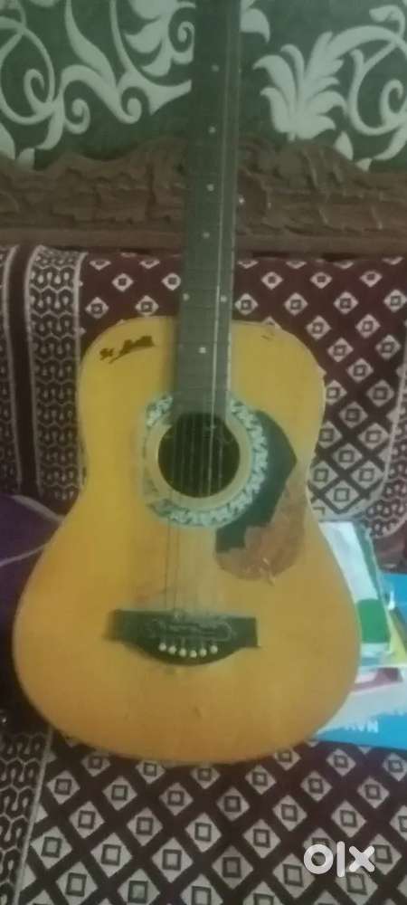 Beginner guitar -affordable price