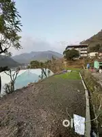 Best property for resort