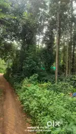 Yercaud near by semmantham