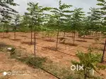 1 acre land for sale in