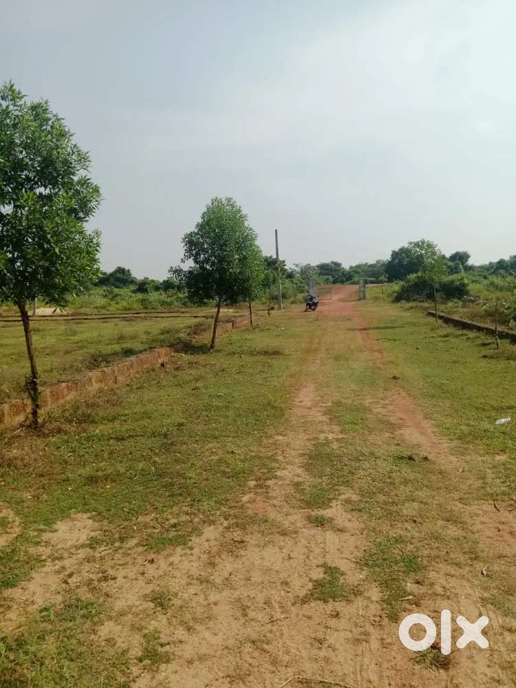Best investment plots(2.5 km from NH) in Bhubaneswar and cuttack area