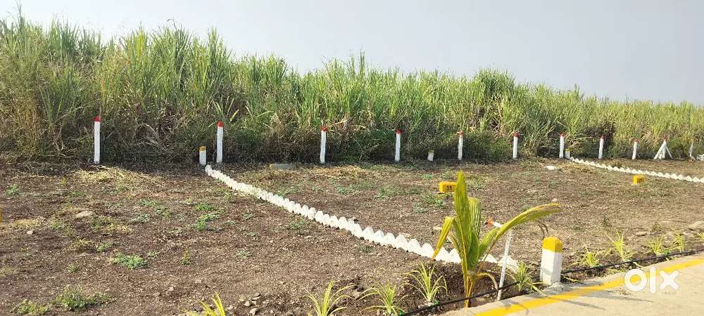 1800 seqft area plot for rent near by shikrapur