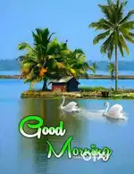 2 rooms available for rent in brijesh nagar. Near shiv mandir