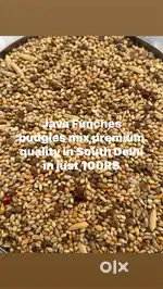 All birds seeds