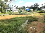5,10,15 CENT HOUSE PLOT FOR SALE ANGAMALY, KARUKUTTY