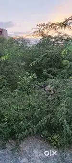 Push vatika colony maruti nandan college k pass 30 fut road pr