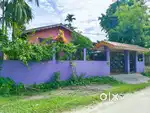 ১ কঠা ৫ লেচা একচনীয়া ঘৰ মাটি বিক্ৰীৰ বাবে,