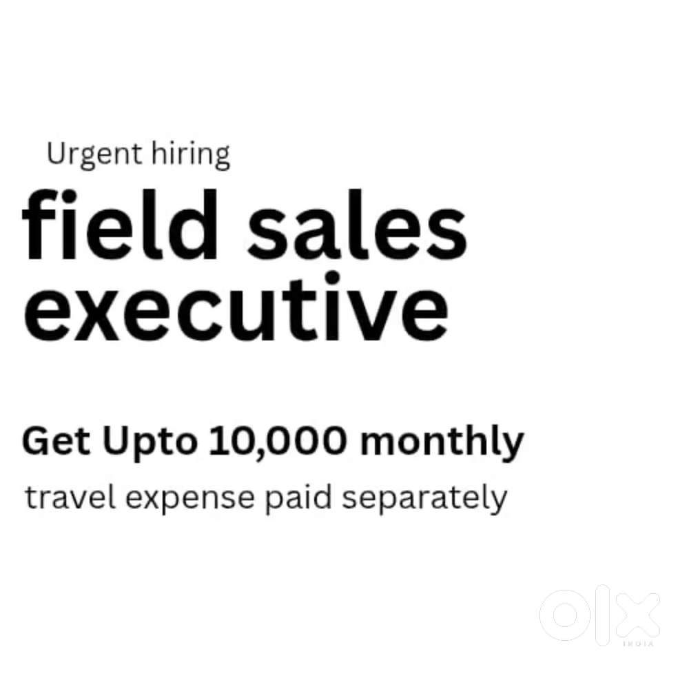 Field sales executive