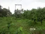 91 acre agriculture land