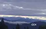 a property in the lush hills of Pedong Kalimpong