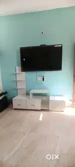 Wisdom tv 55 inch