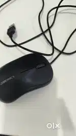 Zebronics mouse