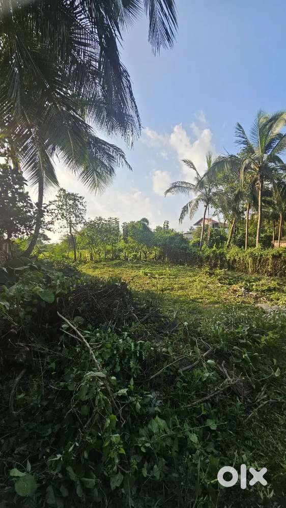 RESIDENTIAL PLOT FOR SALE IN KOTTEKAD