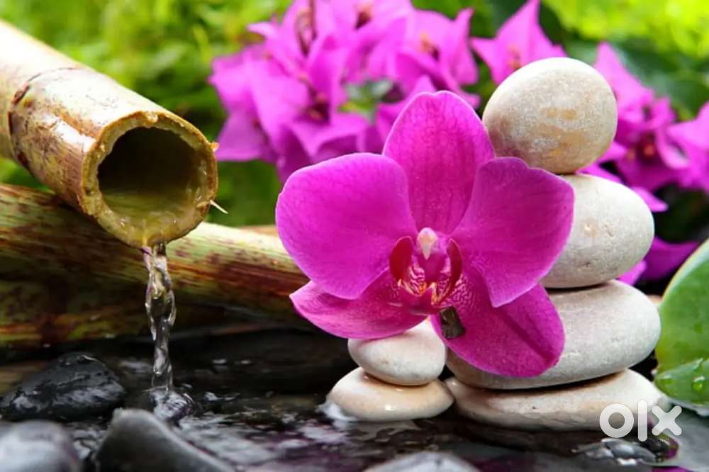 Female only front office and telecalling veccancy available  therapist