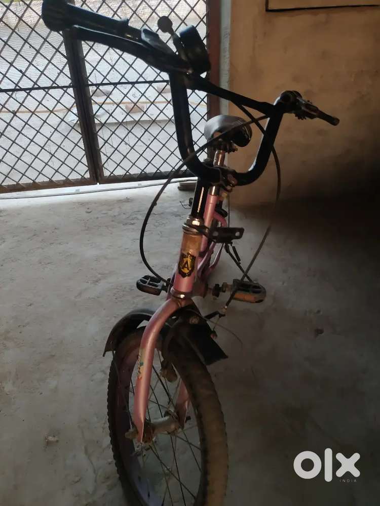 Brand new cycle strong