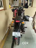 Himalayan for Sale