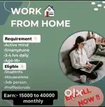 Work From Home Opportunity