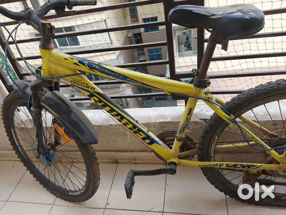Hercules Roadeo(21 gears)