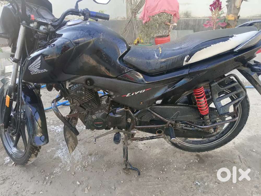 HONDA LIVO
