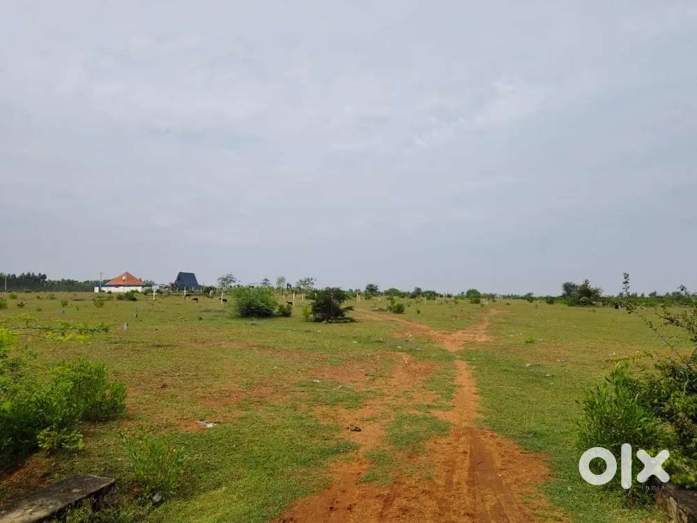 Low budget plot for sale at nangampatti