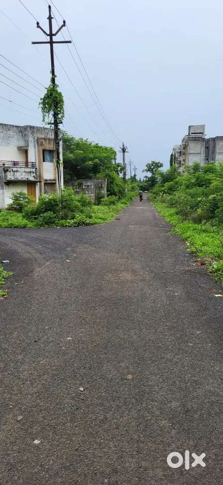 Peace of Mind in Buti Bori