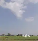 I want to sell my land at dhauchat