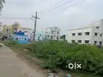 land for sale in Guduvanchery , Gst Road Near Urapakkam