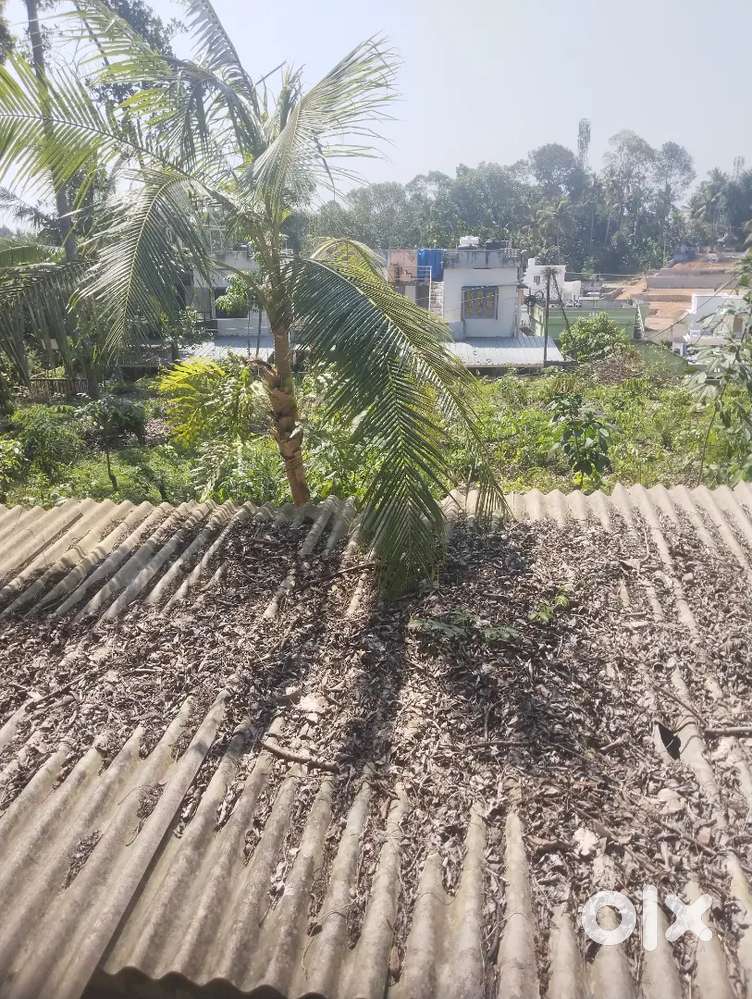 55 cent for sale Thiruvananthapuram per cent 325000