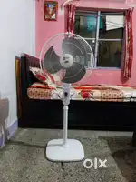 Table fan for selling