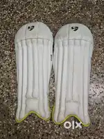 SG wicket keeping pads with SS wicket keeping gloves