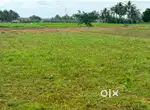 50 cent agriculture land sale